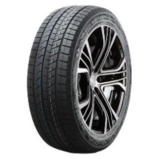 Double Star DW16 205/55 R17 95T