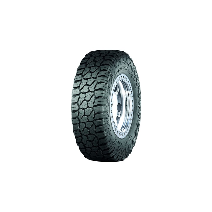 Pneumatico auto estivo Falken WP R/T RT01 285/55 R20 117Q