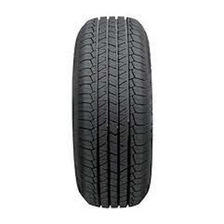 Taurus SUV 701 245/45 R19 98W