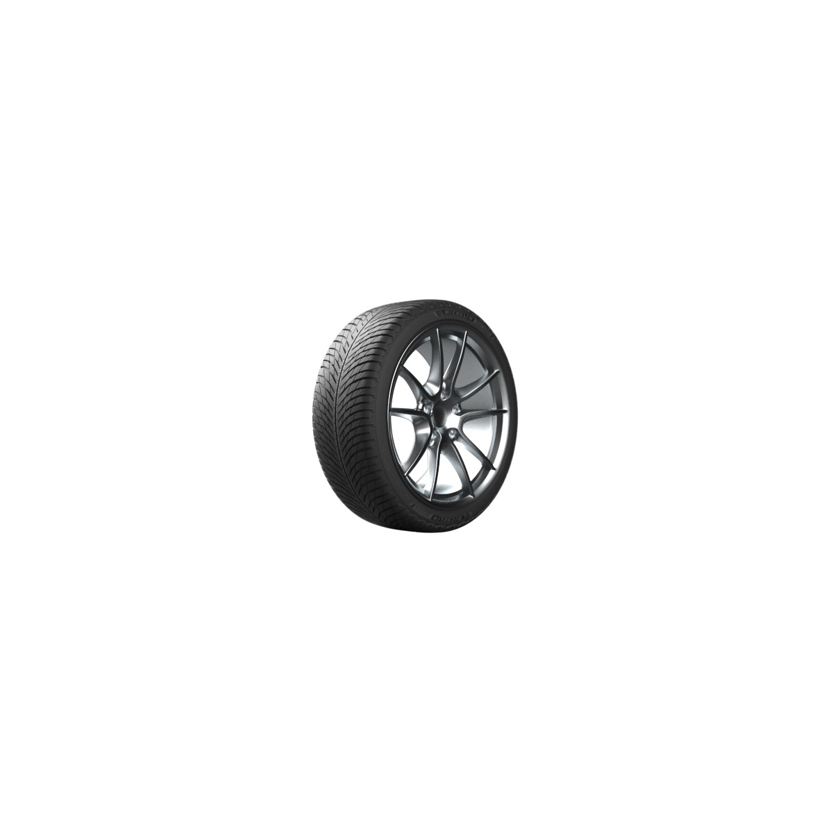 Michelin PILOT ALPIN 5 255/40 R19 100H