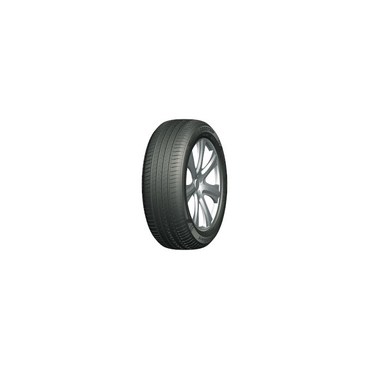 Ruote auto estive Goodtrip BLUEGUARD 205/55 R16 91W