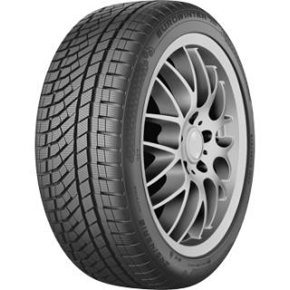 Falken EUROWINTER HS02PRO 225/50 R19 96V
