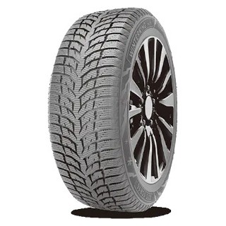 Double Star WINTERKING DW08 195/65 R15 91T