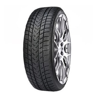 Gripmax STATUS PRO WINTER  255/30 R20 92V Extra Load Aderenza neve