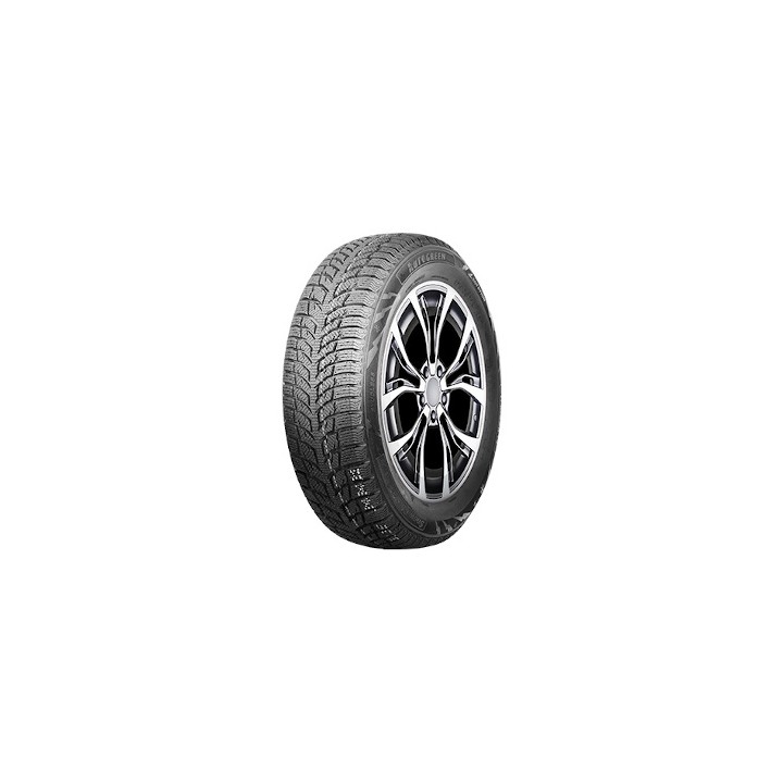Pneumatici auto invernali Autogreen SNOW CHASER 2 AW08 BSW M+S  205/55 R16 91H Aderenza neve