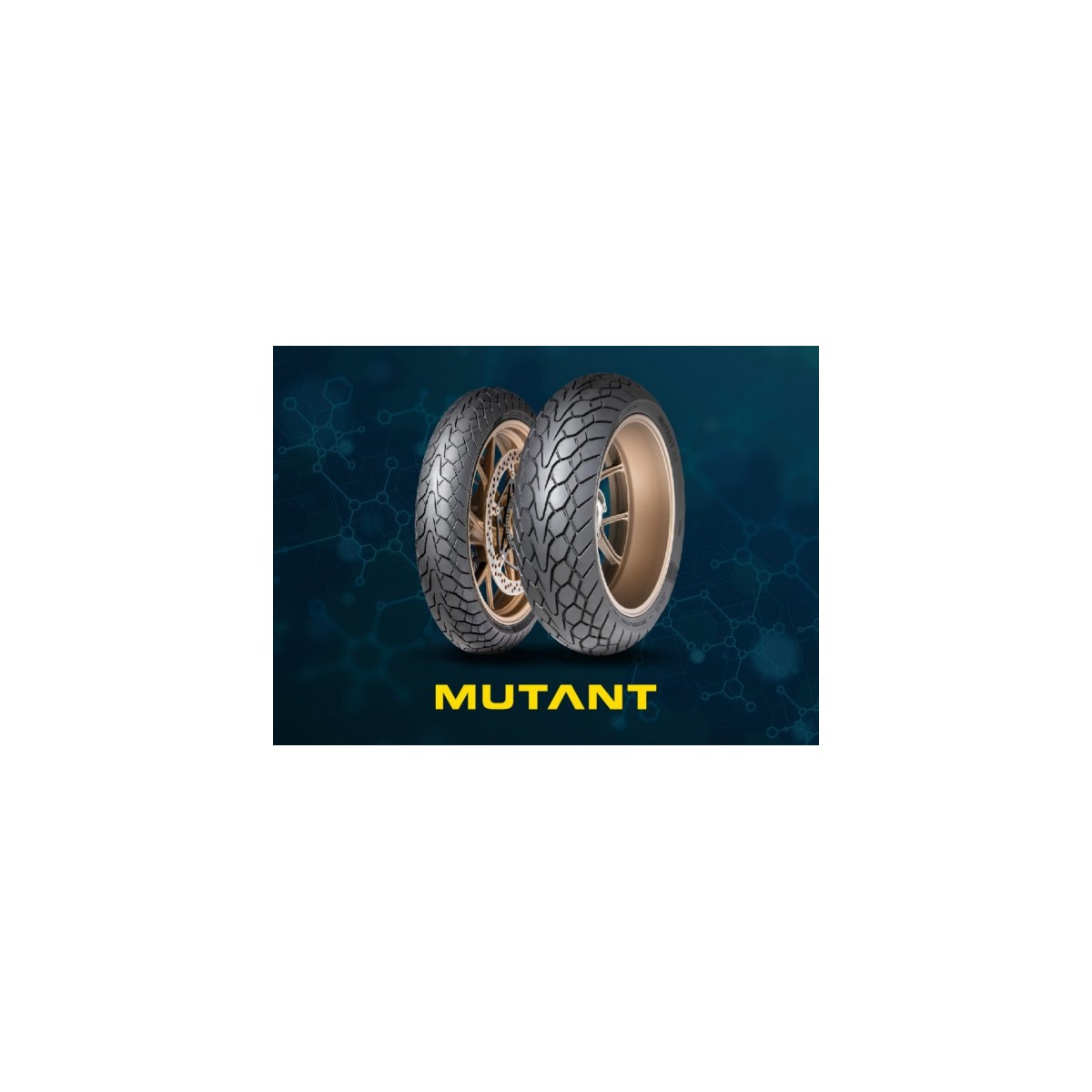 Dunlop M+S MUTANT 160/60 R17 69W