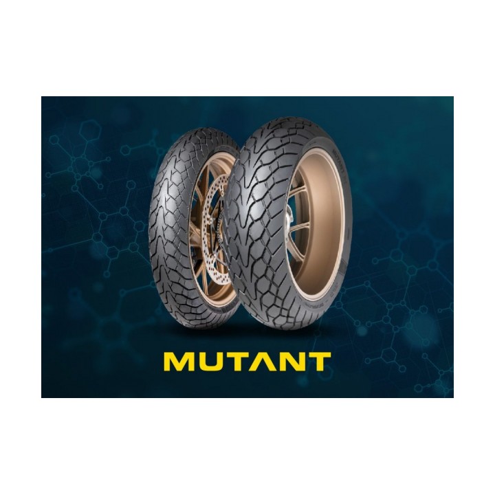 Pneumatici moto estivi Dunlop M+S MUTANT 160/60 R17 69W